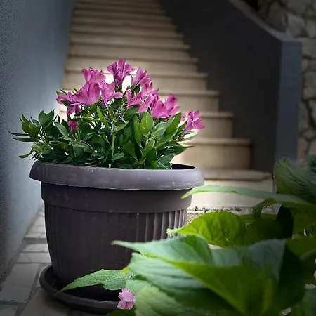 Roxy Appartement Lovište