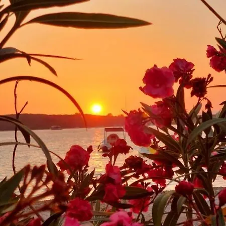 Roxy Appartement Lovište