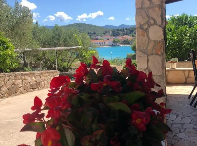 דירה Roxy לוביסטה