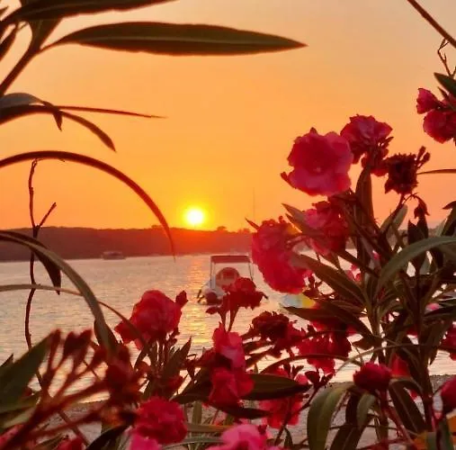 Roxy דירה לוביסטה